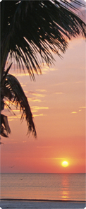 Footprints (Sunset)